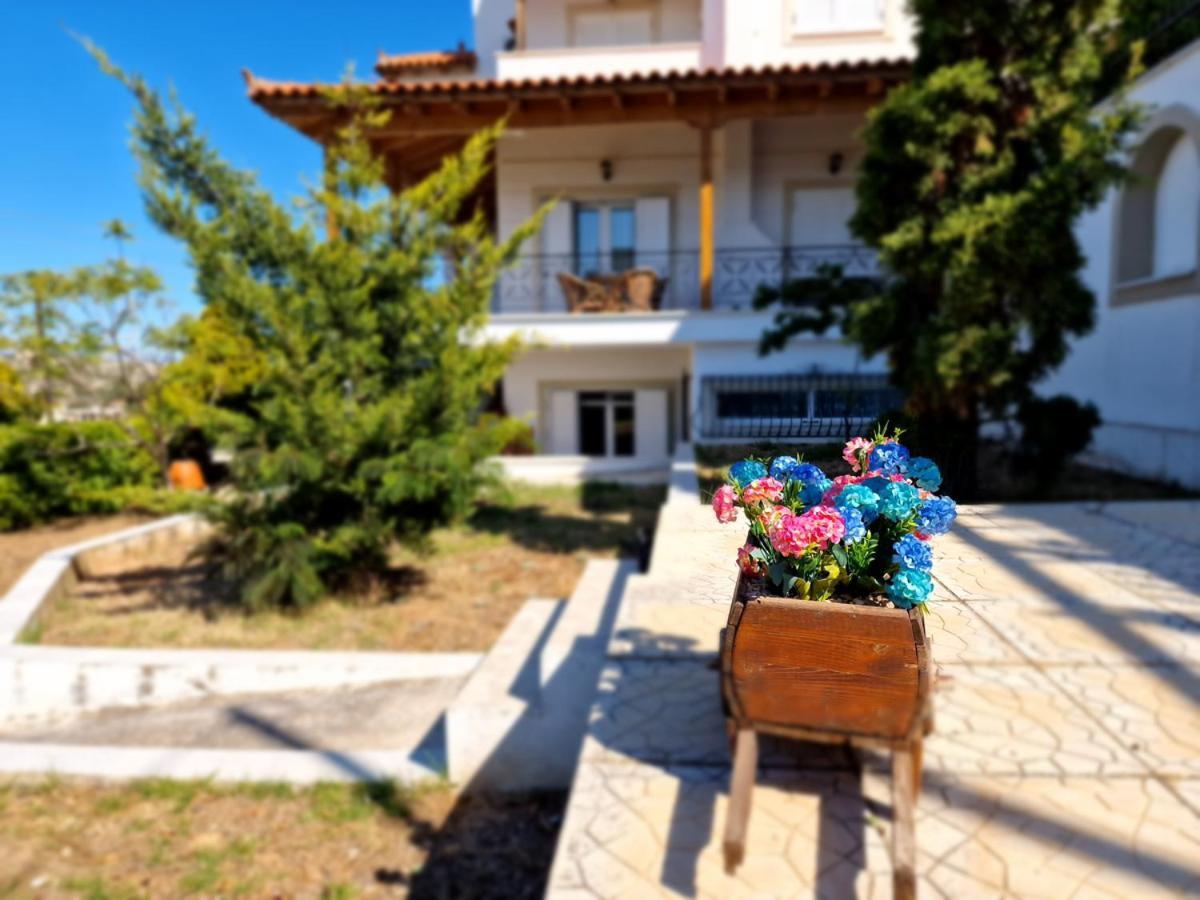 Villa Liana : Luxury Villa With Fantastic Sea View, Near Airport Pórto Ráfti Kültér fotó