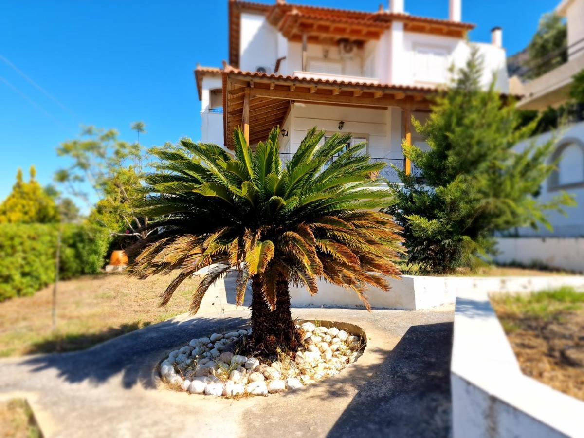Villa Liana : Luxury Villa With Fantastic Sea View, Near Airport Pórto Ráfti Kültér fotó